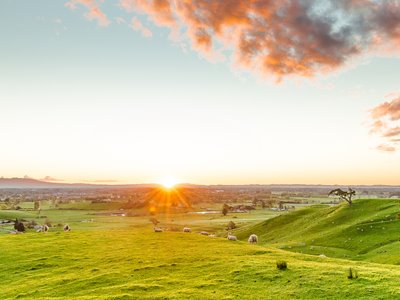 HERO - Best-sunset-views-Waikato WEBSITE